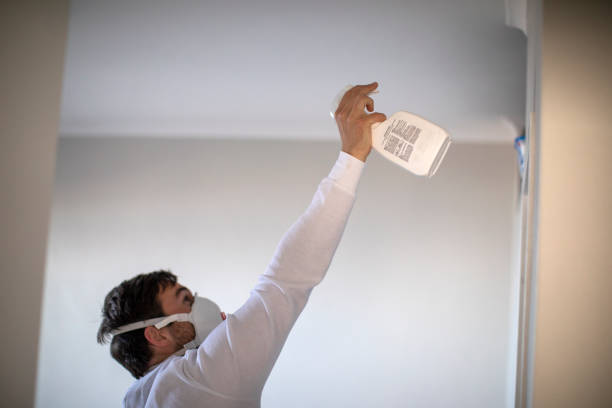 Best Black Mold Removal  in Hercules, CA