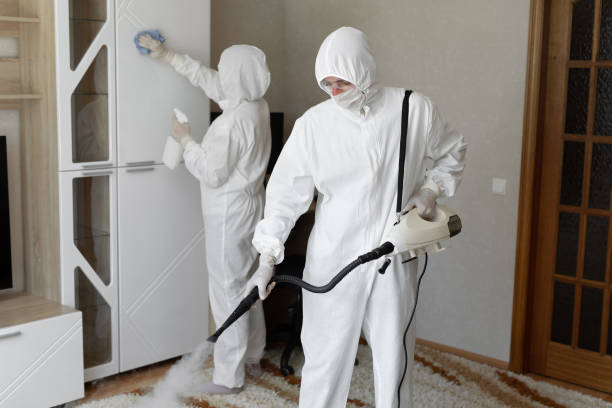 Best Mold Cleaning Services  in Hercules, CA