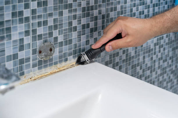 Best Crawl Space Mold Removal  in Hercules, CA