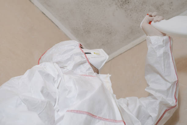 Best Water Damage Restoration  in Hercules, CA